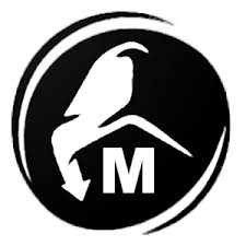 Strix TV APK APK